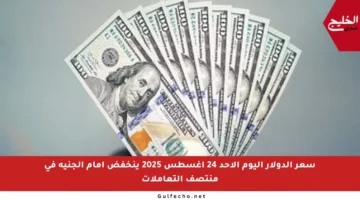 سعر الدولار اليوم الأحد 24 أغسطس 2025 ينخفض أمام الجنيه في منتصف التعاملات